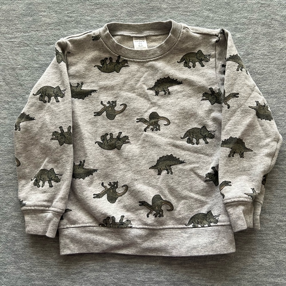 Carter’s boys kids toddlers size 4T dinosaur sweatshirt fall casual activewear‎